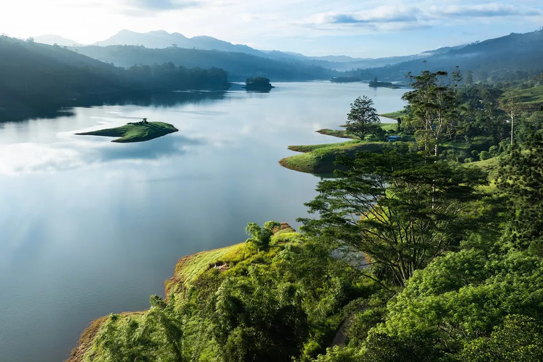 Sri Lankan Serenity